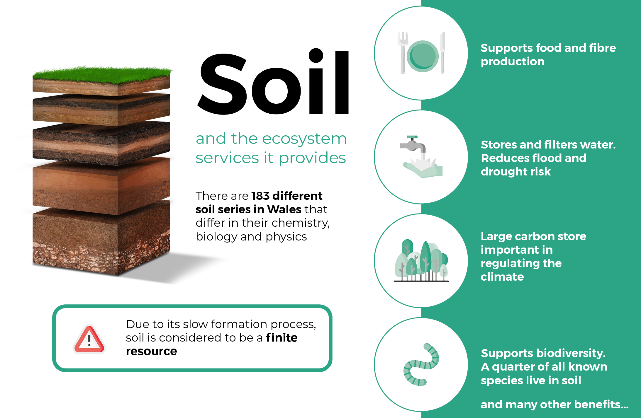 A line graph of three soil health indicators – carbon concentration, carbon stock and pH - over time from 1970 to 2023. pH rapidly increases until just before 2010 whereas the others are mostly flat. All three variables decline after 2017.